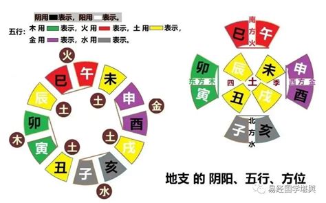 五行六合|十二地支的五行六合局的详细解读